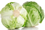 Cabbage