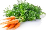 Carrot